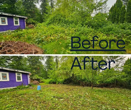 a house in a bushes area after being cleared