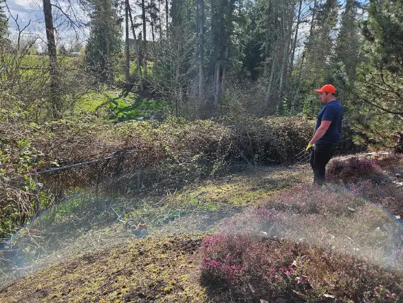 Land Clearing Services in Maple Ridge, BC
